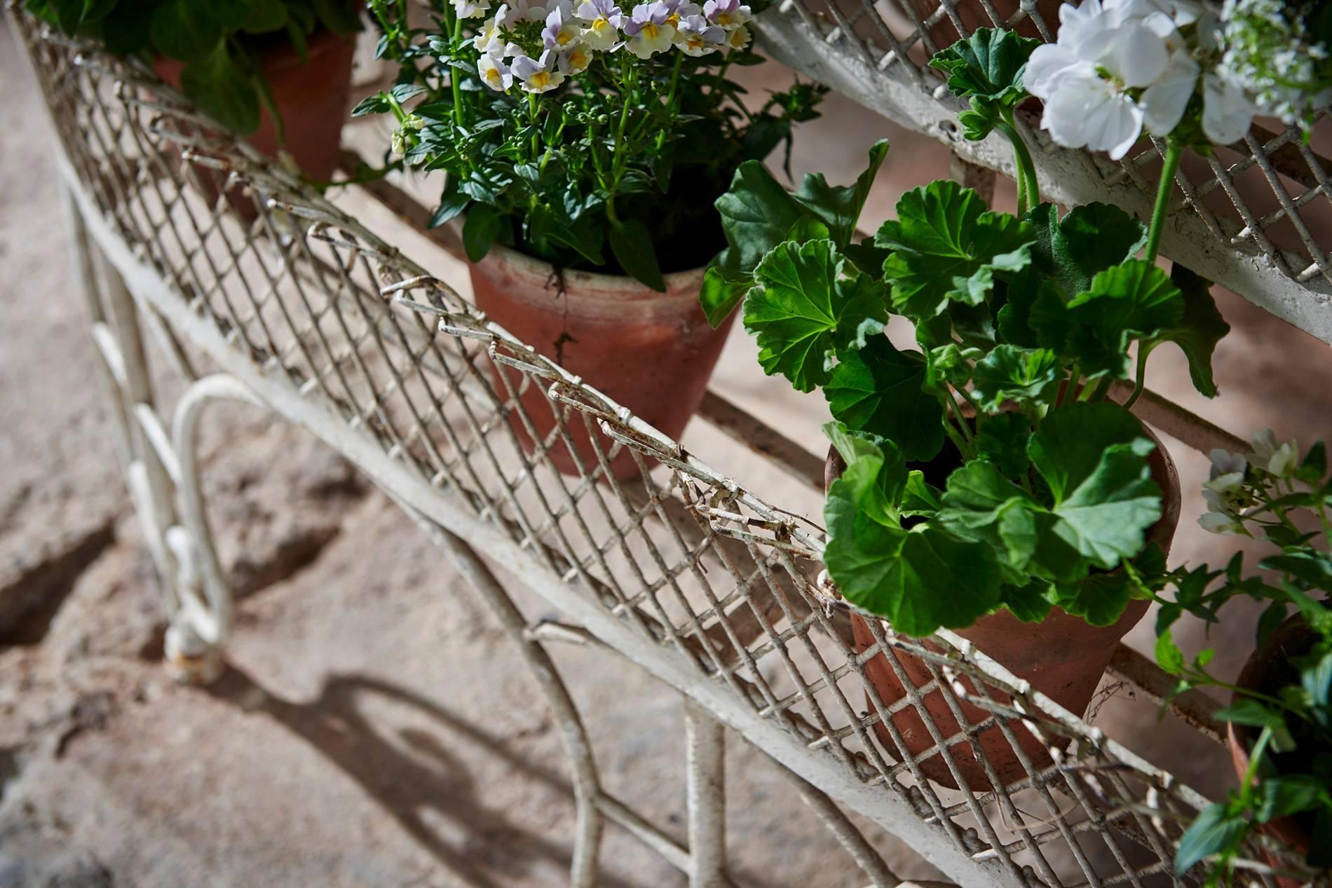 20th Century French Conservatory Plant Stand