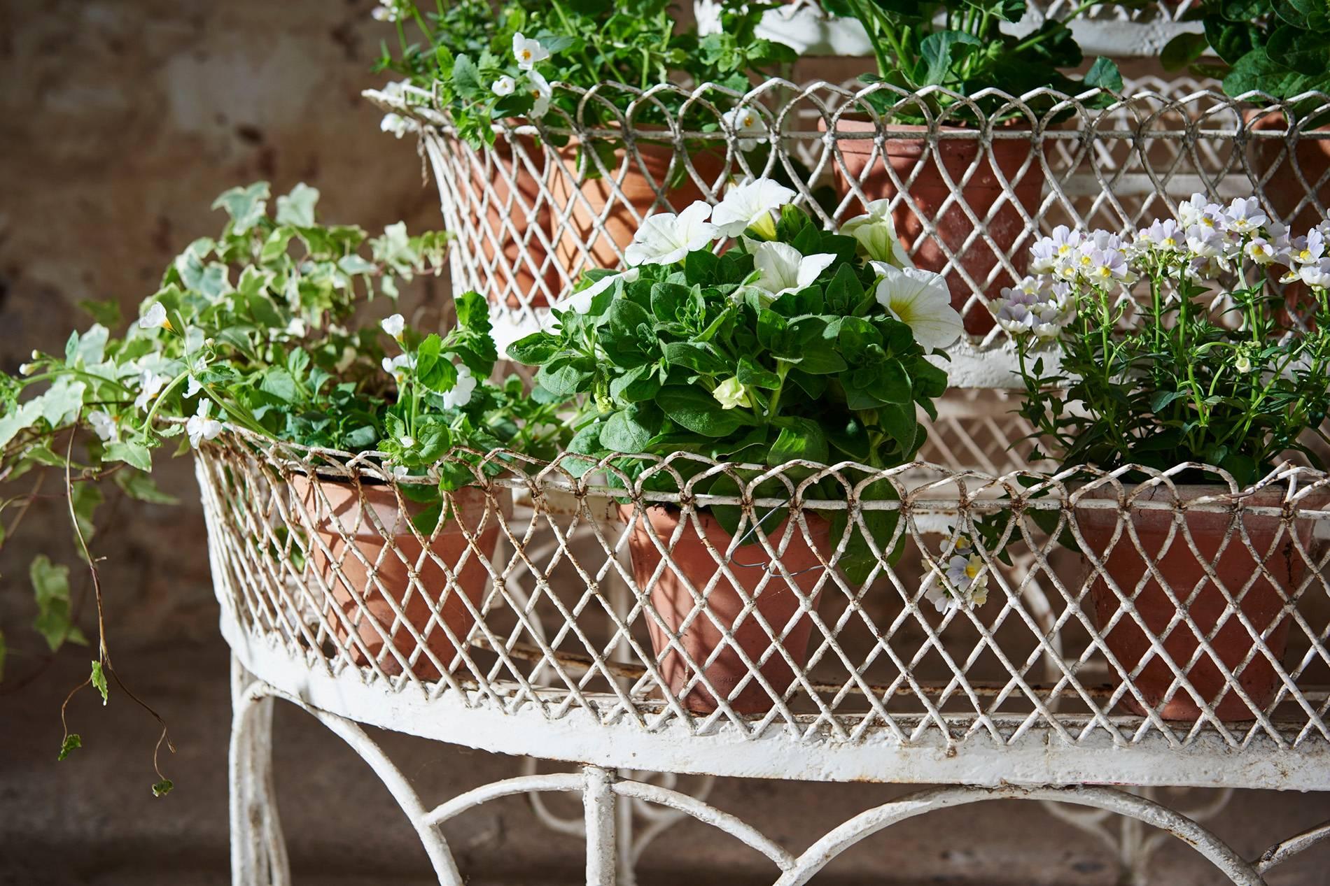 French Conservatory Plant Stand 2