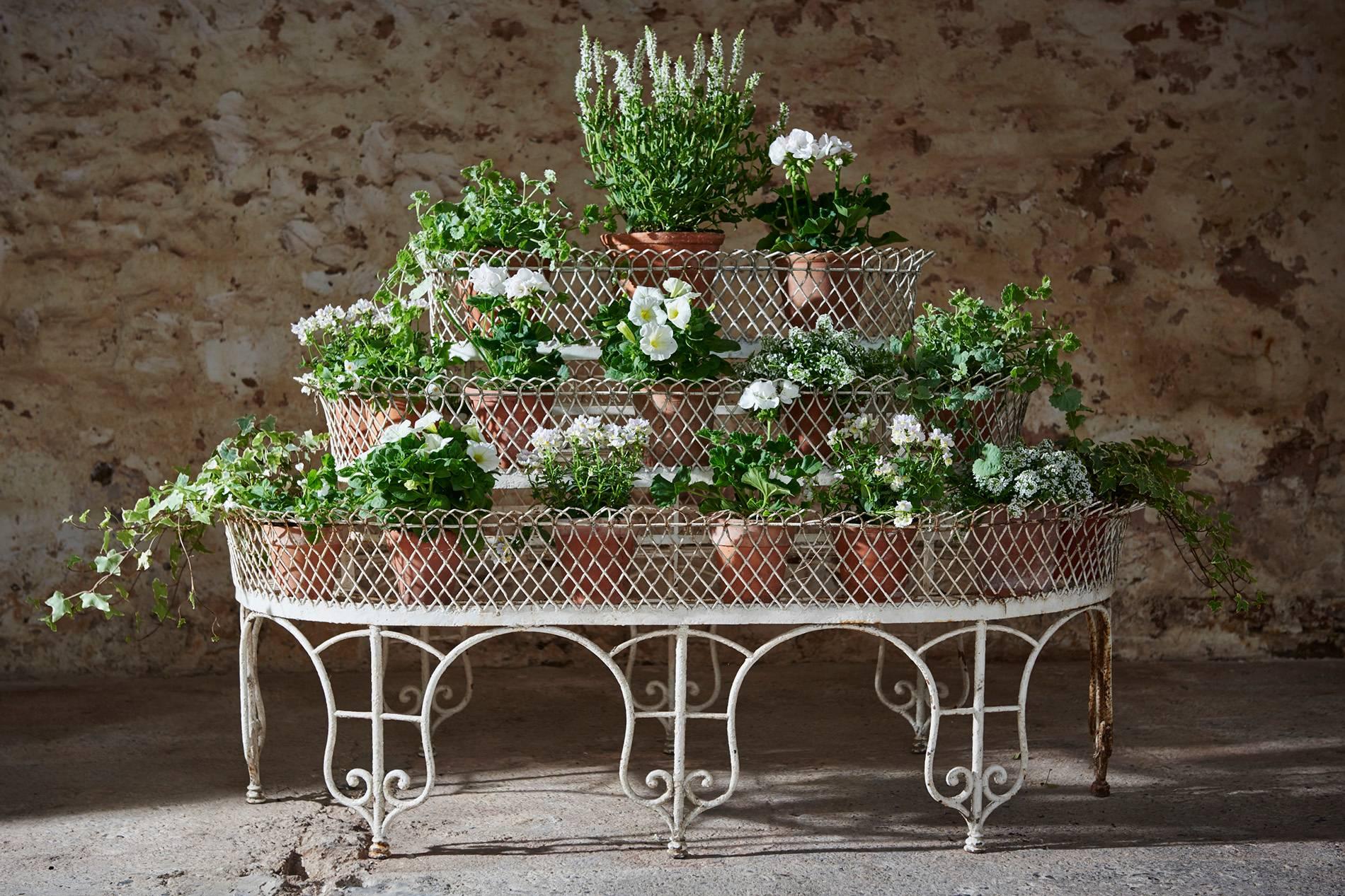 An exquisite three-tier French conservatory plant stand.

This absolutely beautiful conservatory planter was found in very romantic surroundings, in the orangery of a chateau in Northern France.

Orangeries were initially used for growing exotic