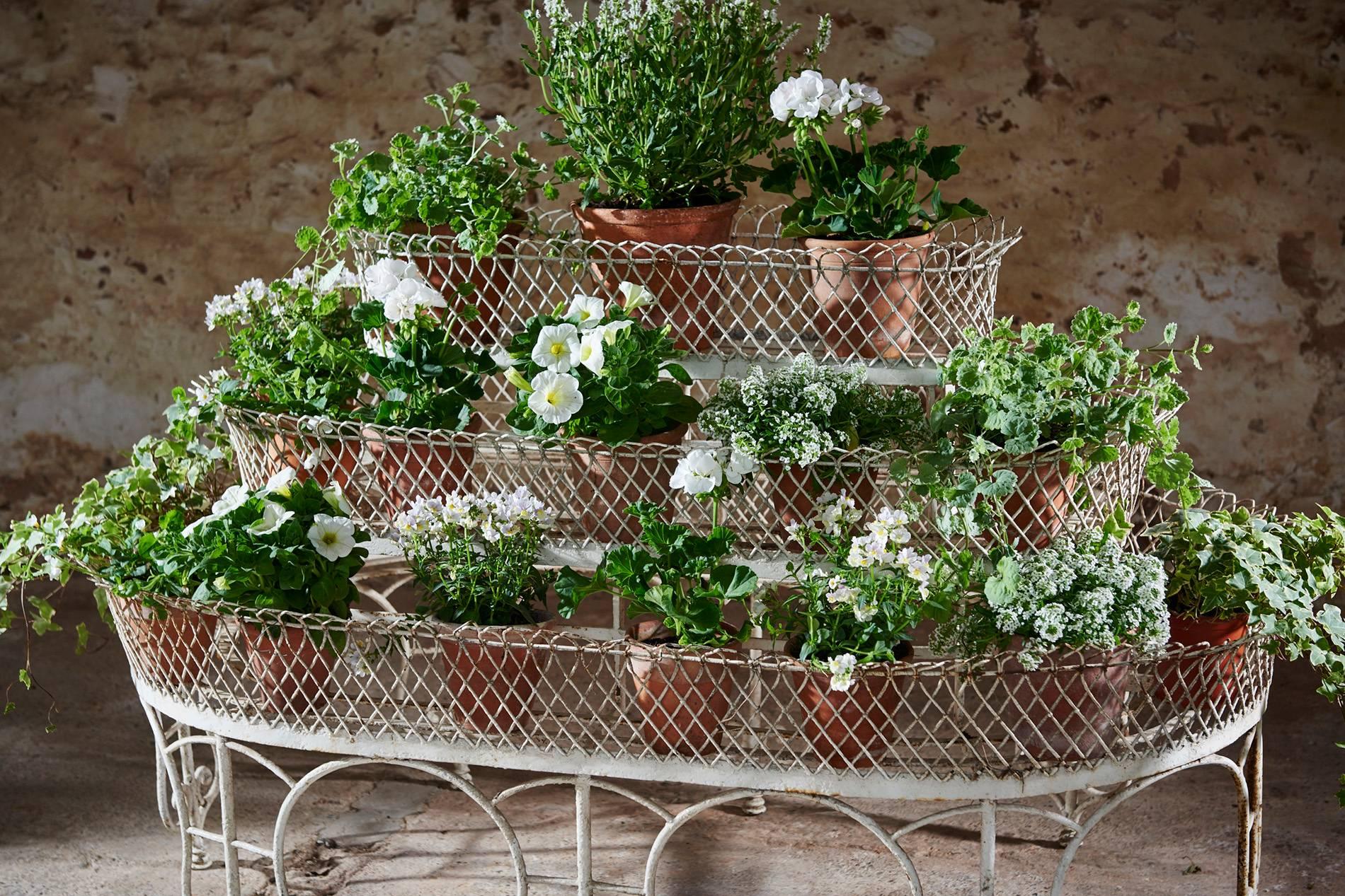 french plant stand