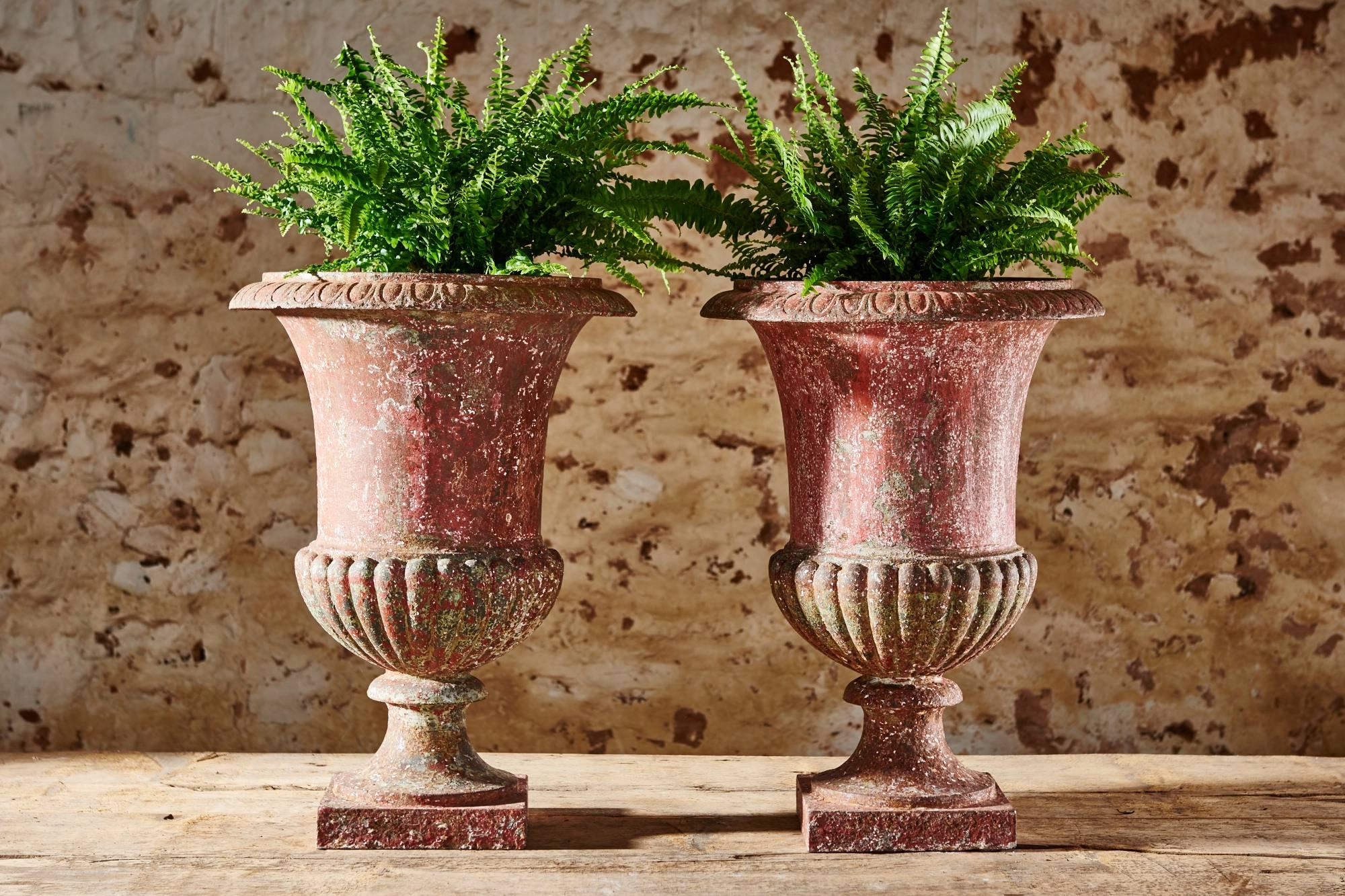 French 19th Century Medici Urns