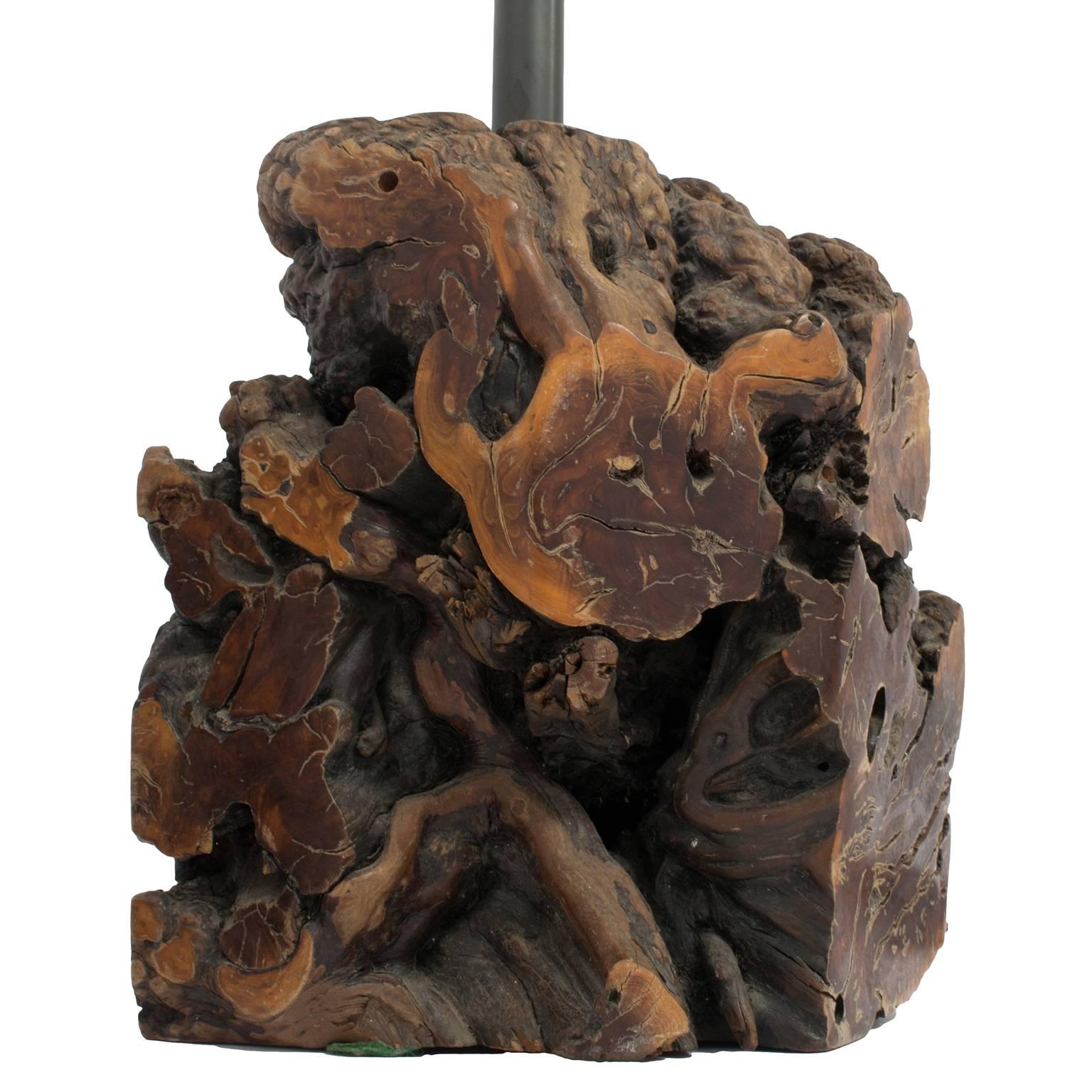 Mid-Century burl wood table lamp pair with refurnished dark gray metal stems. This gorgeous pair of vintage table lamps is crafted from an incredible and intricate tree burl (walnut). They are not the exact same size; the artist formed each one to
