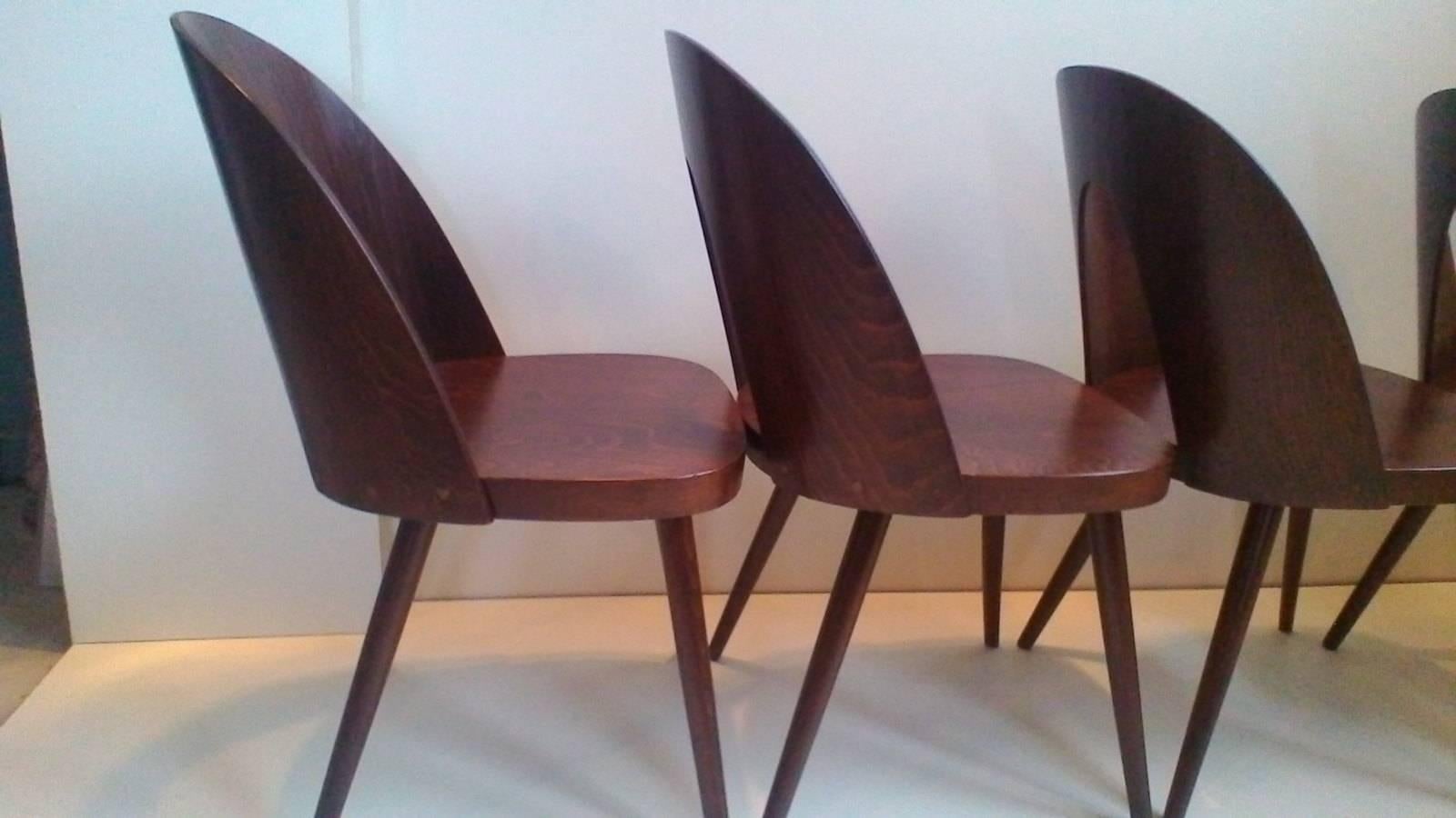 Czech Set of Four Dining plywood Chairs, Tatra, Antonin Suman, 1960s