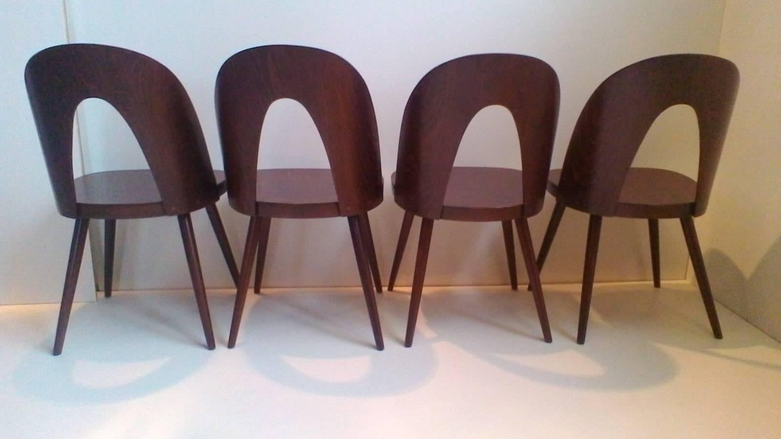 Set of Four Dining plywood Chairs, Tatra, Antonin Suman, 1960s In Good Condition In Praha, CZ