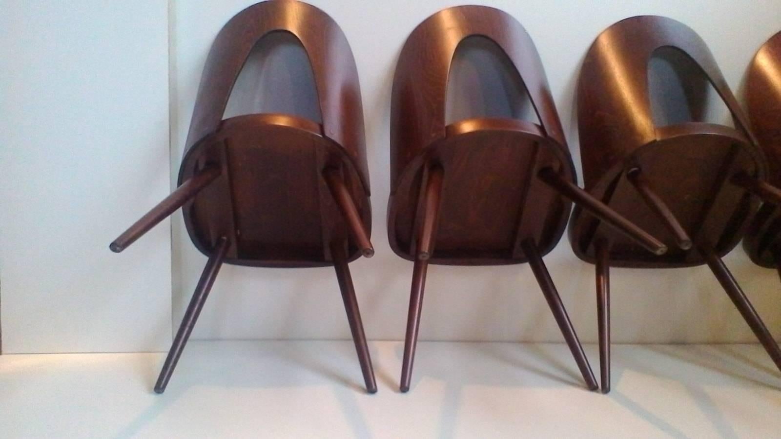 Mid-Century Modern Set of Four Dining plywood Chairs, Tatra, Antonin Suman, 1960s