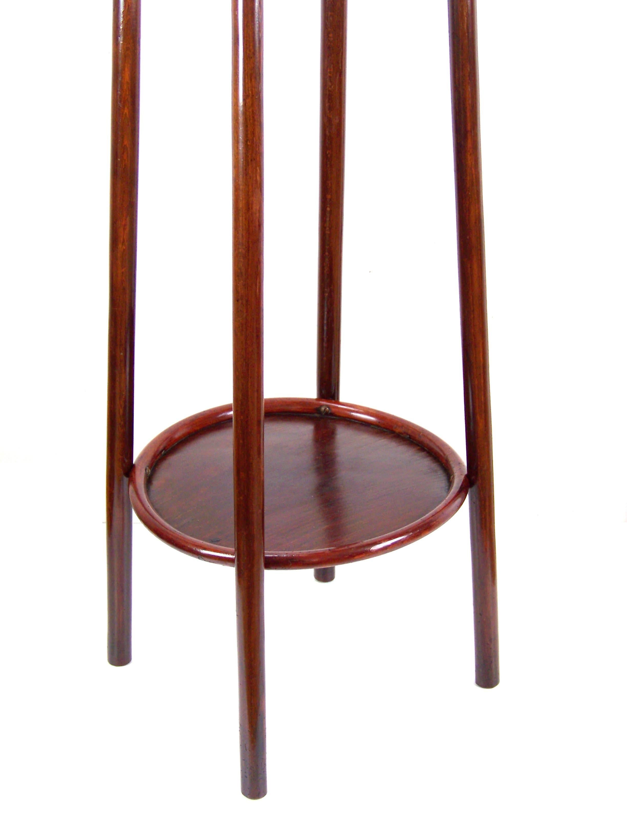 Austrian Viennese Bentwood Flower Table J&J Kohn, circa 1906