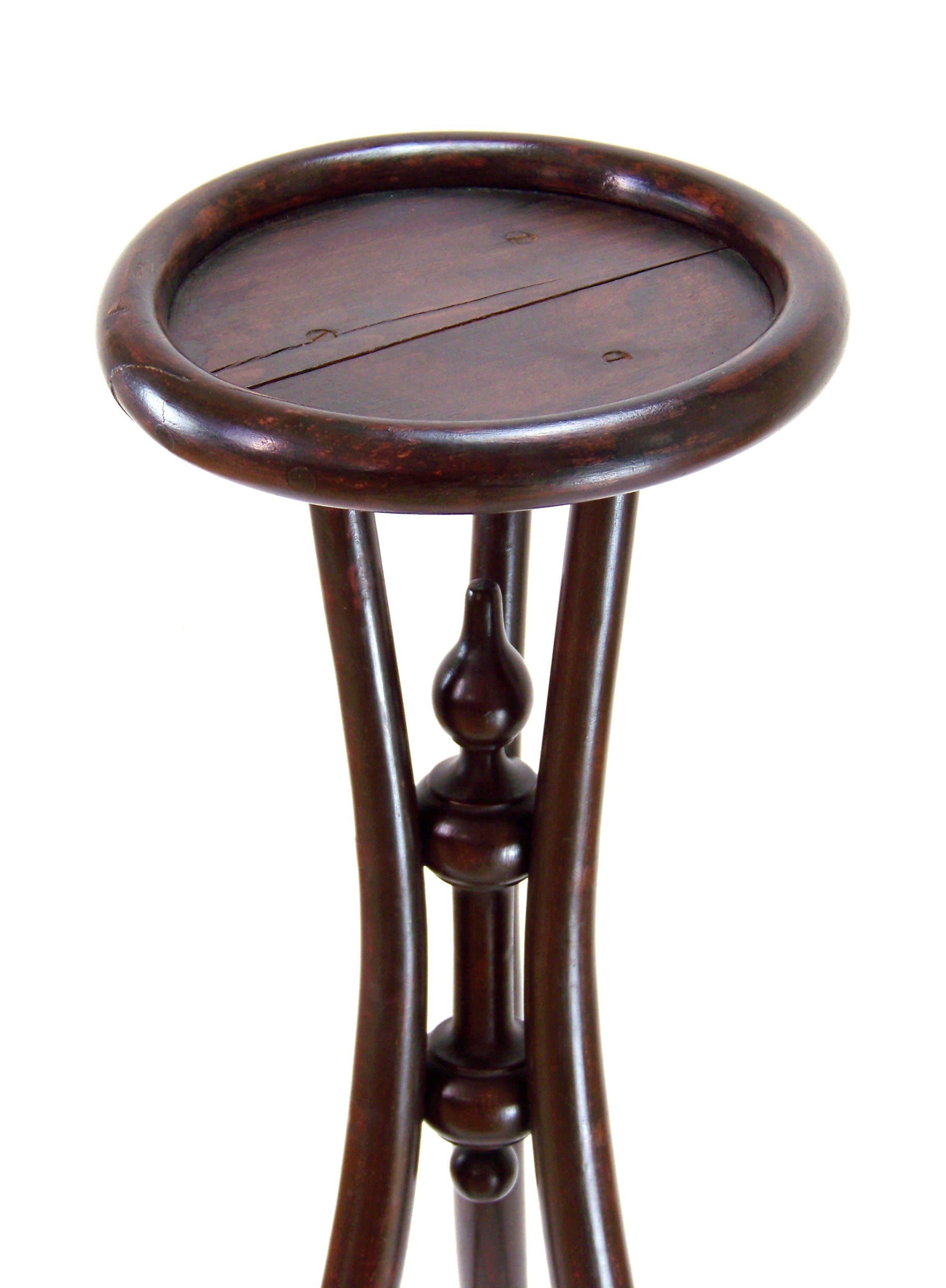 Viennese flower table was manufactured in Austria by the Gebrüder Thonet company. In the production program was included in the year 1892. Original state with signs of use. Marked with stamp 