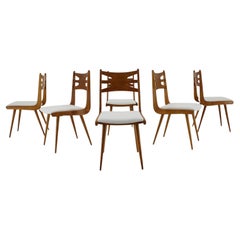 1960s Set of Six Rare Oak Dining Chairs, Czechoslovakia