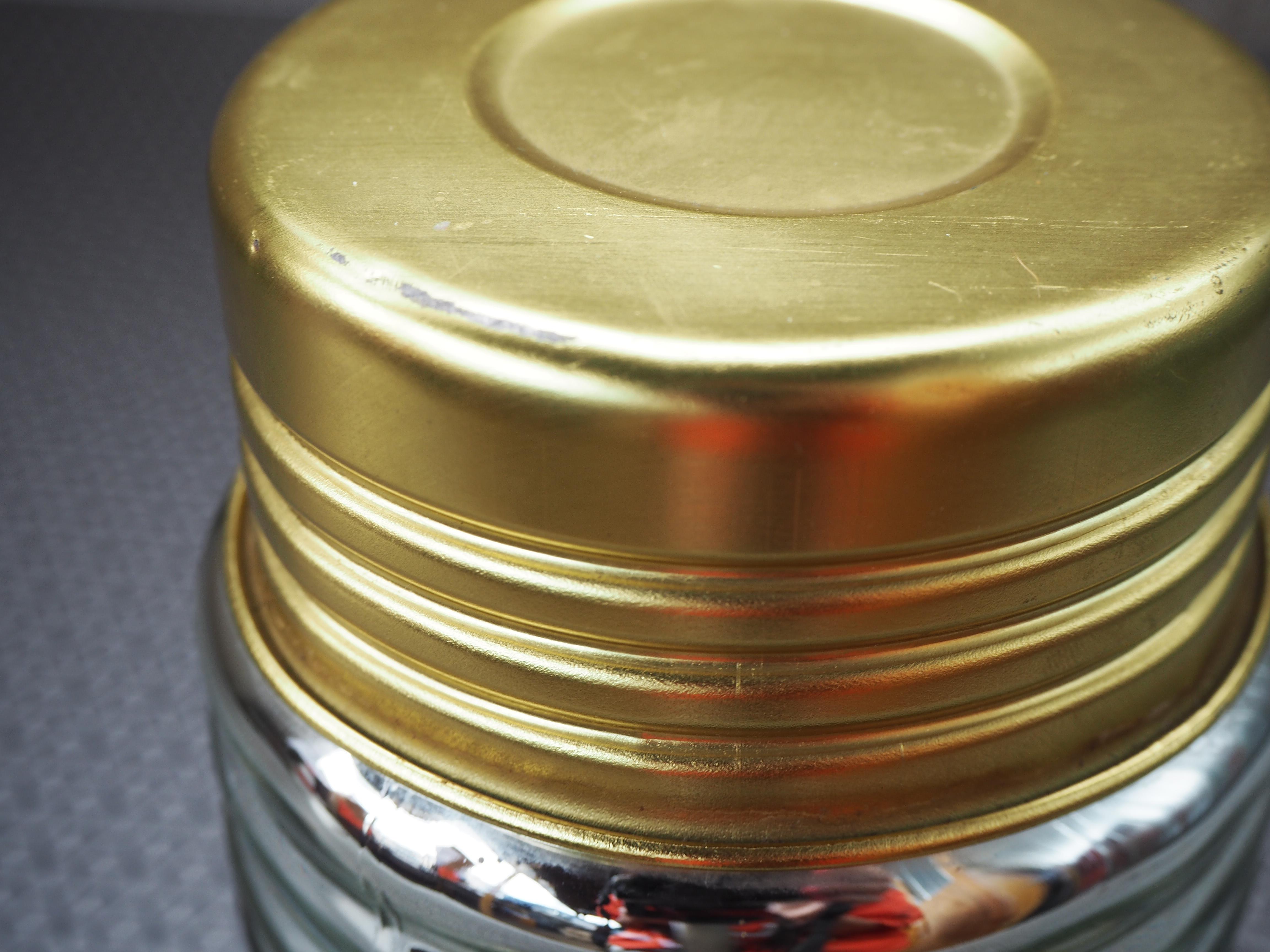 Tedesco Scatola frigorifera di metà secolo, Thermos , Europa anni '60 in vendita