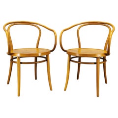 TON Model 209 Bentwood Dining Armchairs, Czech Republic, 2000s