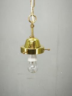 1970s Czech Smoked Glass Globe and Brass Pendant Light