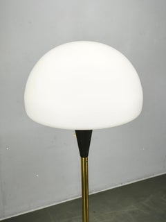 Lidokov Space Age Brass and Opaline Glass Floor Lamp, 1960s