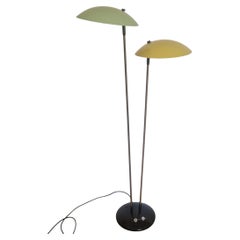 Very Rare Midcentury Floor Lamp Drukov, 1970s