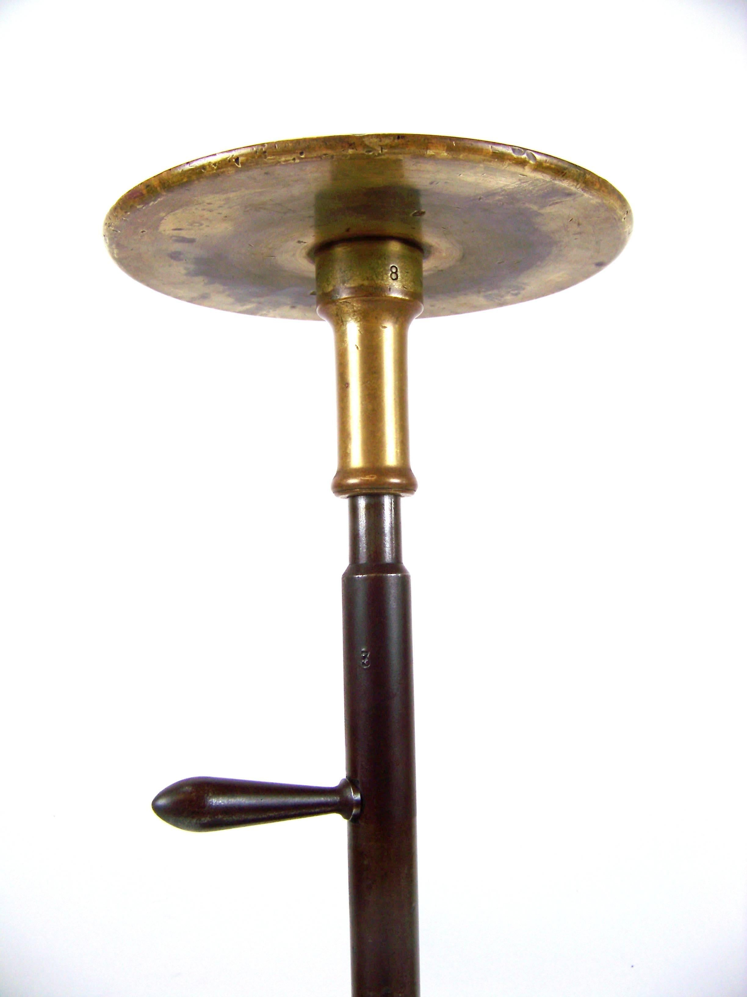 Painter's Swivelling Pedestal, circa 1900 In Good Condition In Praha, CZ