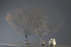 Pair of Magnificent Antic Gorgonians, 1880, France