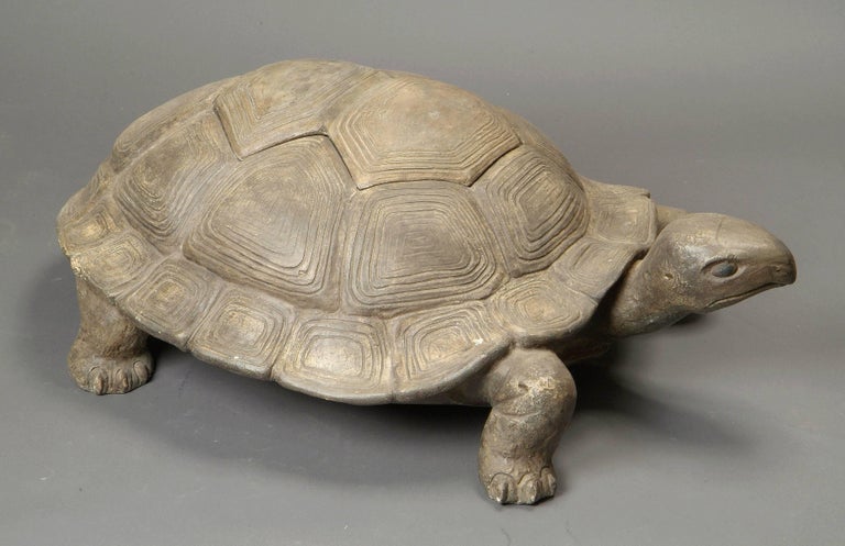 Unusual Terra Cotta in Shape of a Turtle, England, XIXth Century For ...