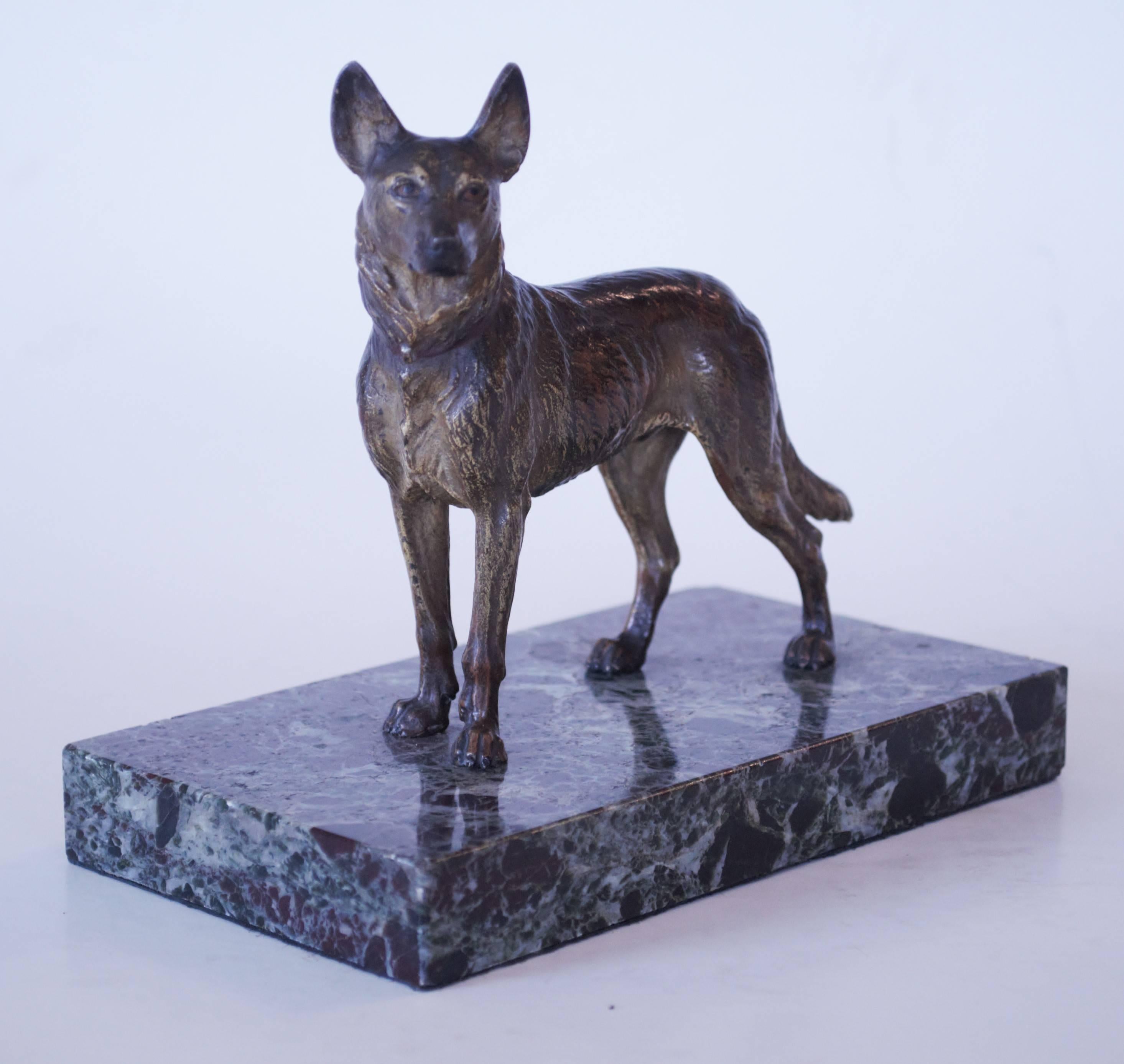 A cold painted bronze figure of a standing German Shepherd dog, finely cast, unsigned.