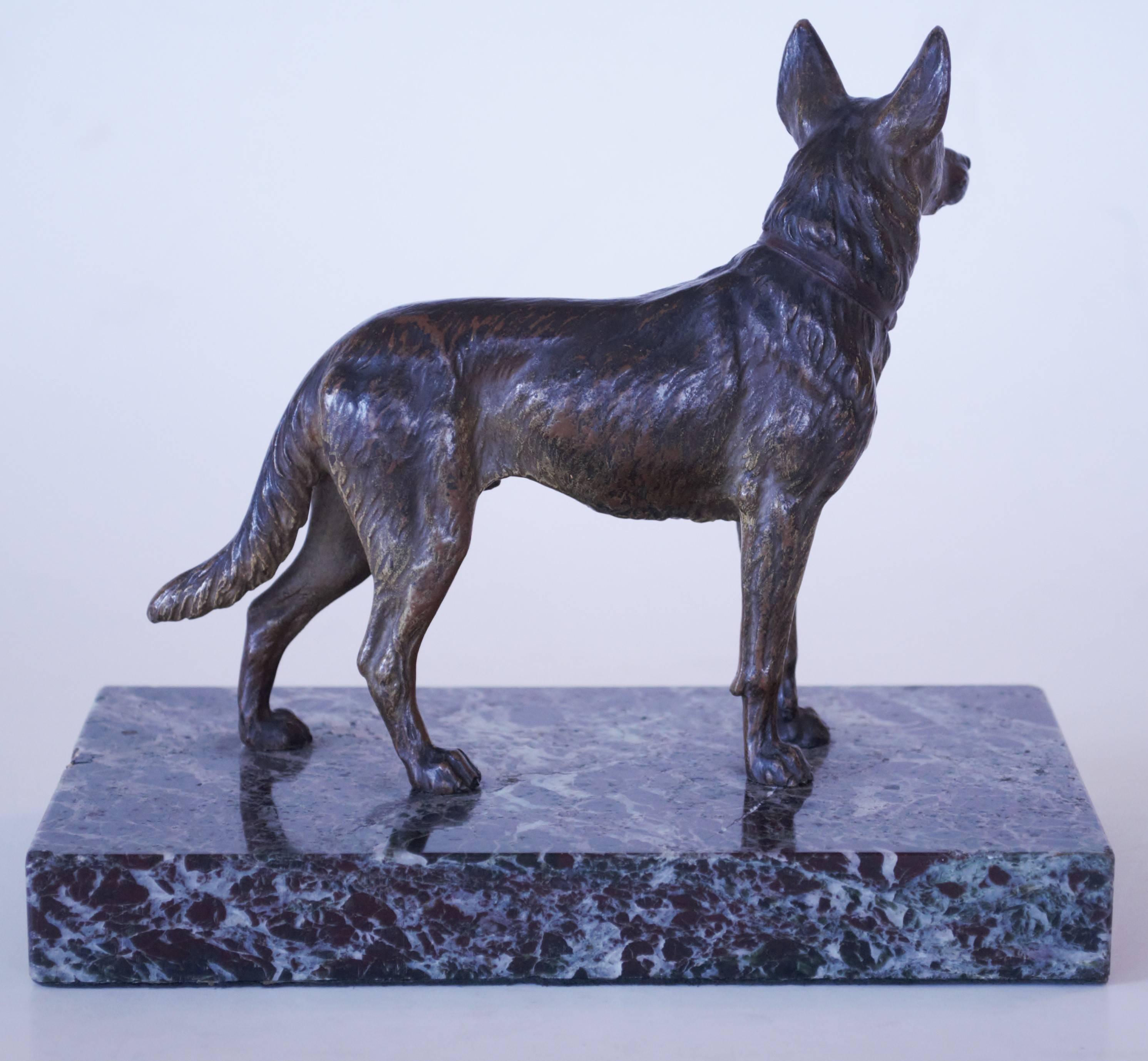 European Cold Painted Bronze Figure of a German Shepherd Dog