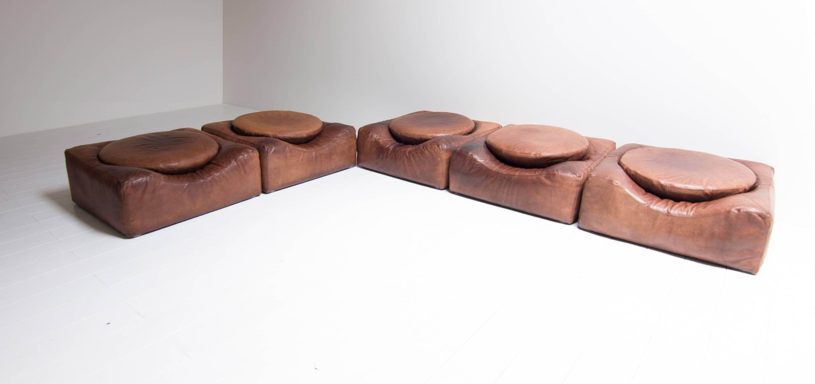 Very rare 1970s sectional sofa in original calfskin upholstery. You can use the round cushions as a back cushion when you wanted to sit down in the sofa. You also can turn the cushions when you choose to lay on the sofa or just to take another