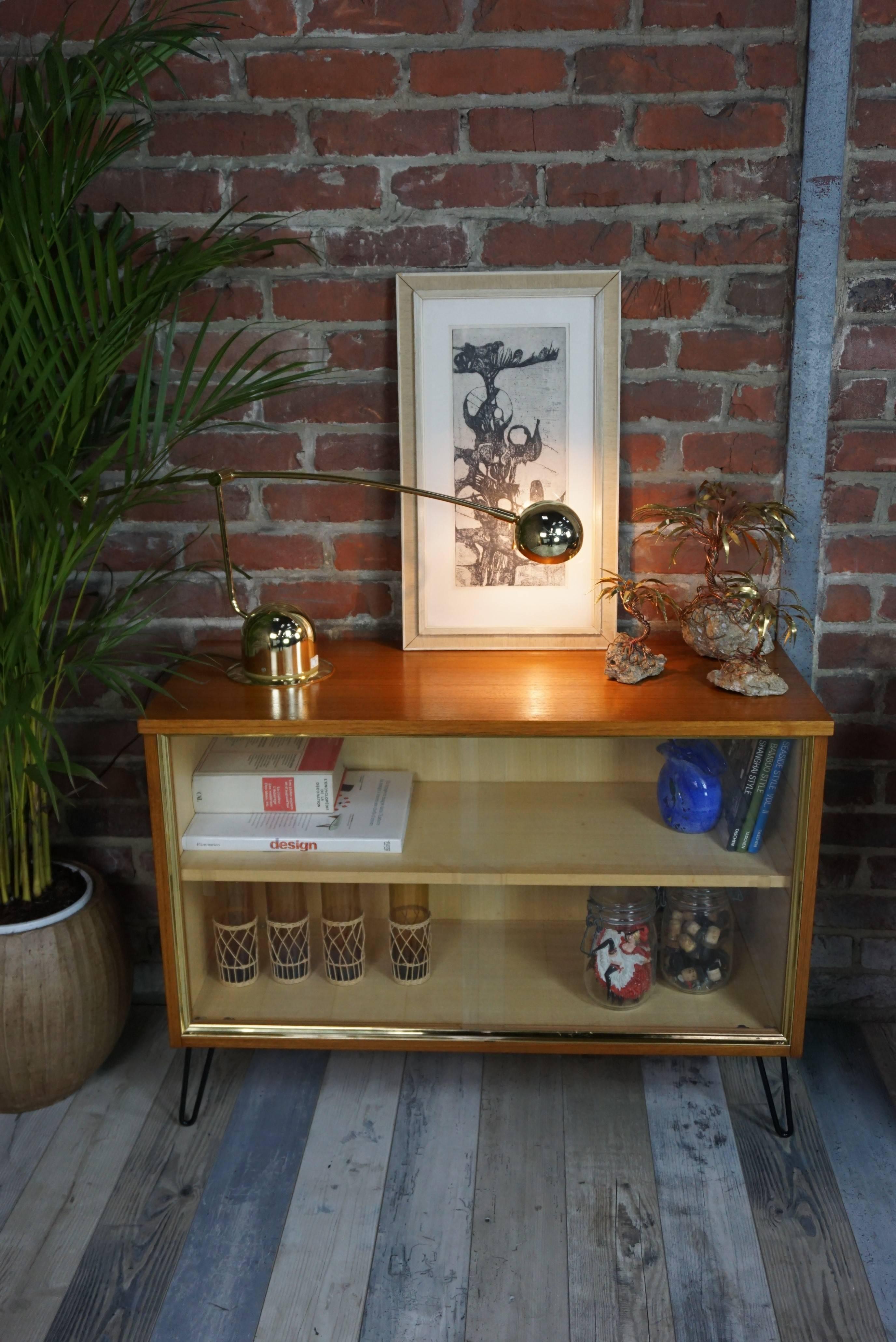 Mid-Century Modern 1950s Teak and Glass Display Case Cabinet