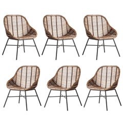 Set of Six Rattan and Black Metal Armchairs Midcentury Style