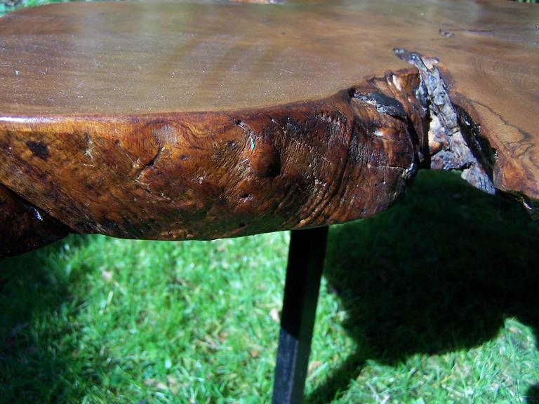 Elm Tree Trunk Coffee Table, 1950 at 1stDibs
