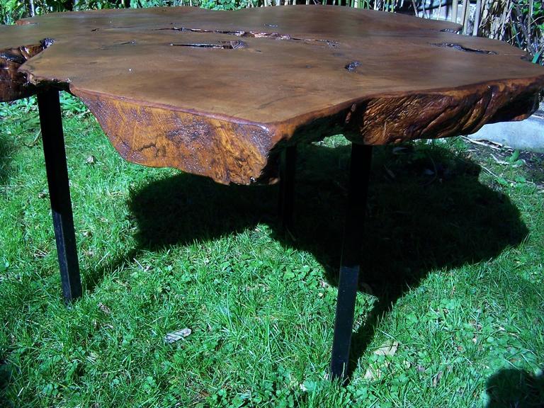 Elm Tree Trunk Coffee Table, 1950 at 1stDibs
