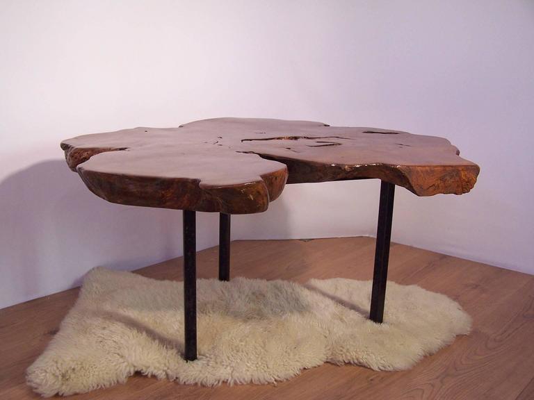 Elm Tree Trunk Coffee Table, 1950 at 1stDibs