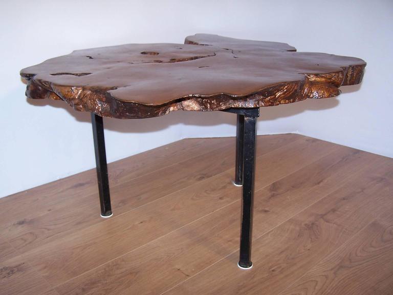 Elm Tree Trunk Coffee Table, 1950 at 1stDibs