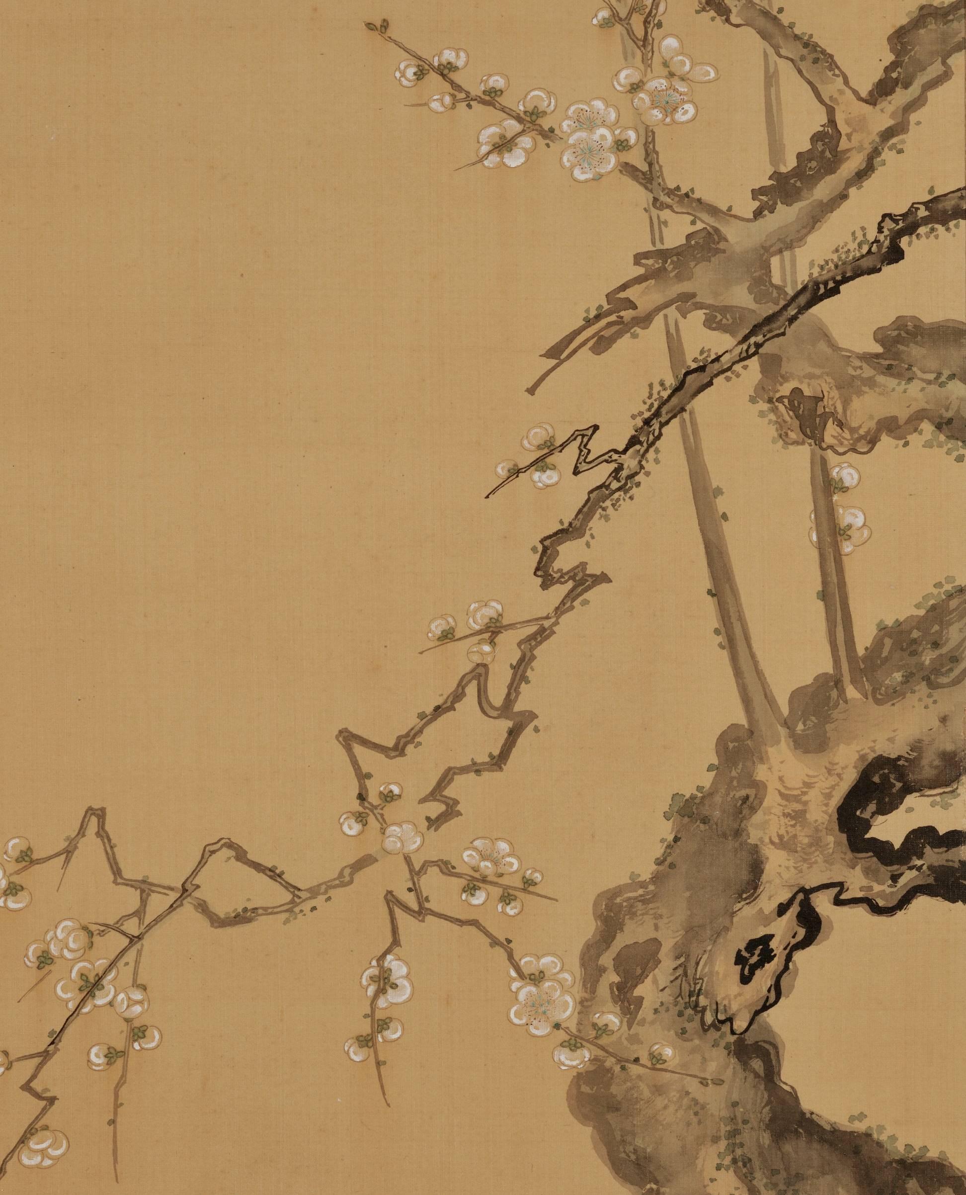 Meiji Kano Ansen Takanobu, Flowers and Birds, Japanese Scroll Painting