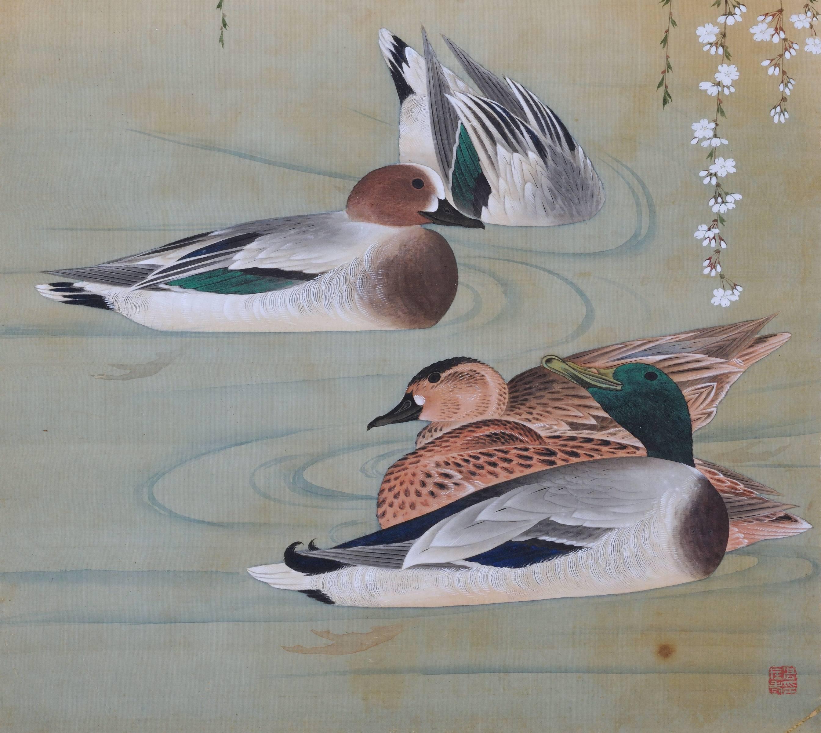 Takakura Zaiko (fl.1854-1860)

Birds and flowers of the seasons

Ducks and cherry blossoms

Ink and color on silk

Unframed

Seal: Taka Zaiko no in 

Dimensions:

H 39” x W 16.5” (100 cm x 42.5 cm)

Bird and flower paintings by the artist Takakura