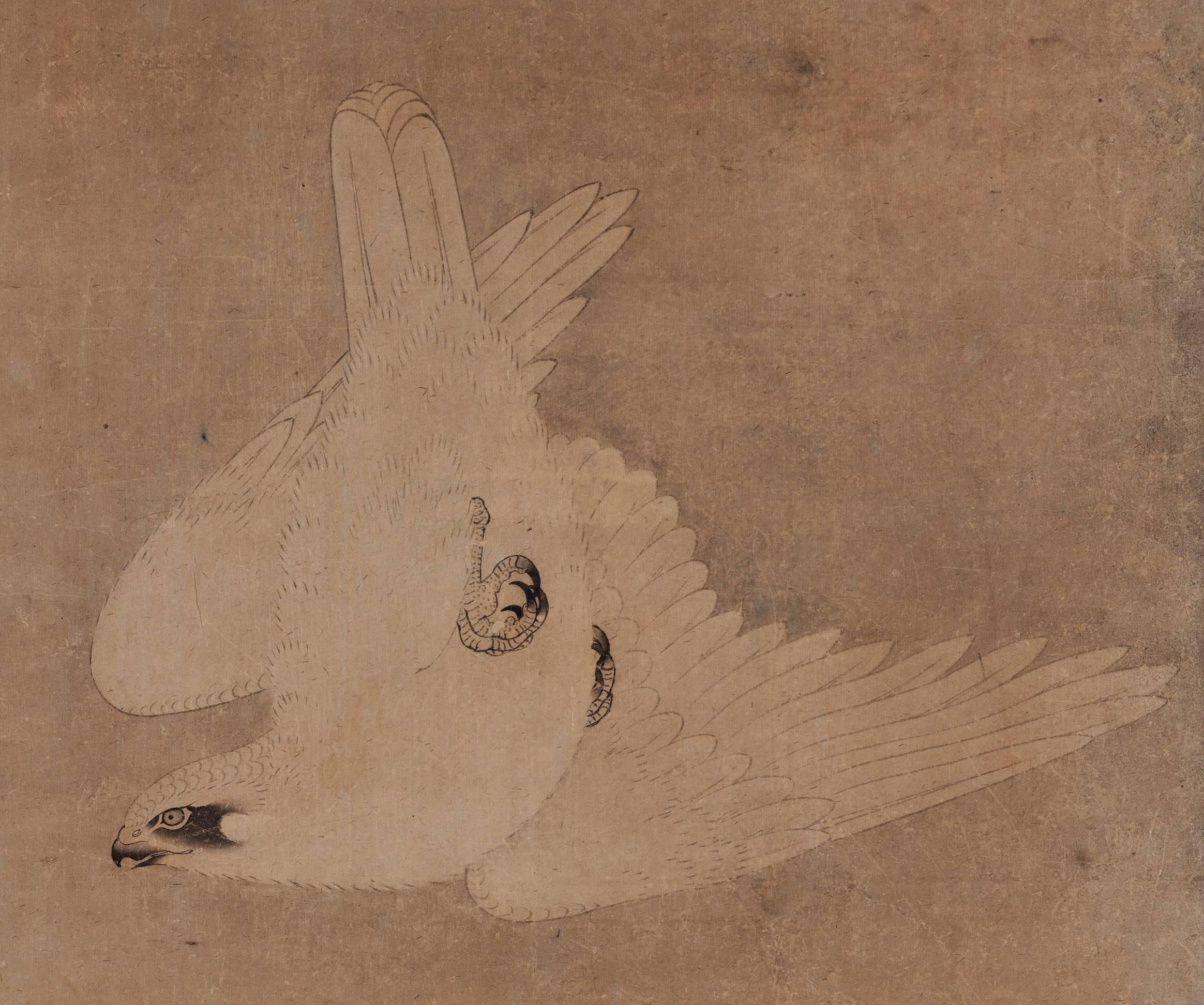 Mitani Toshuku (1577-1654)
“Falcon”
Wall panel, ink and light color on paper.
Upper seal: Mitani
Lower seal: Toshuku
Dimensions:
Each 118.5 cm x 51 cm x 2 cm (46.5” x 20” x .75”)

Individual falcon paintings by Mitani Toshuku (1577-1654), an