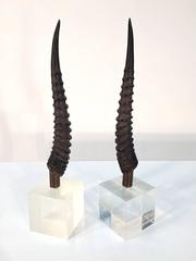 Pair of Gazelle Horns Mounted on Lucite