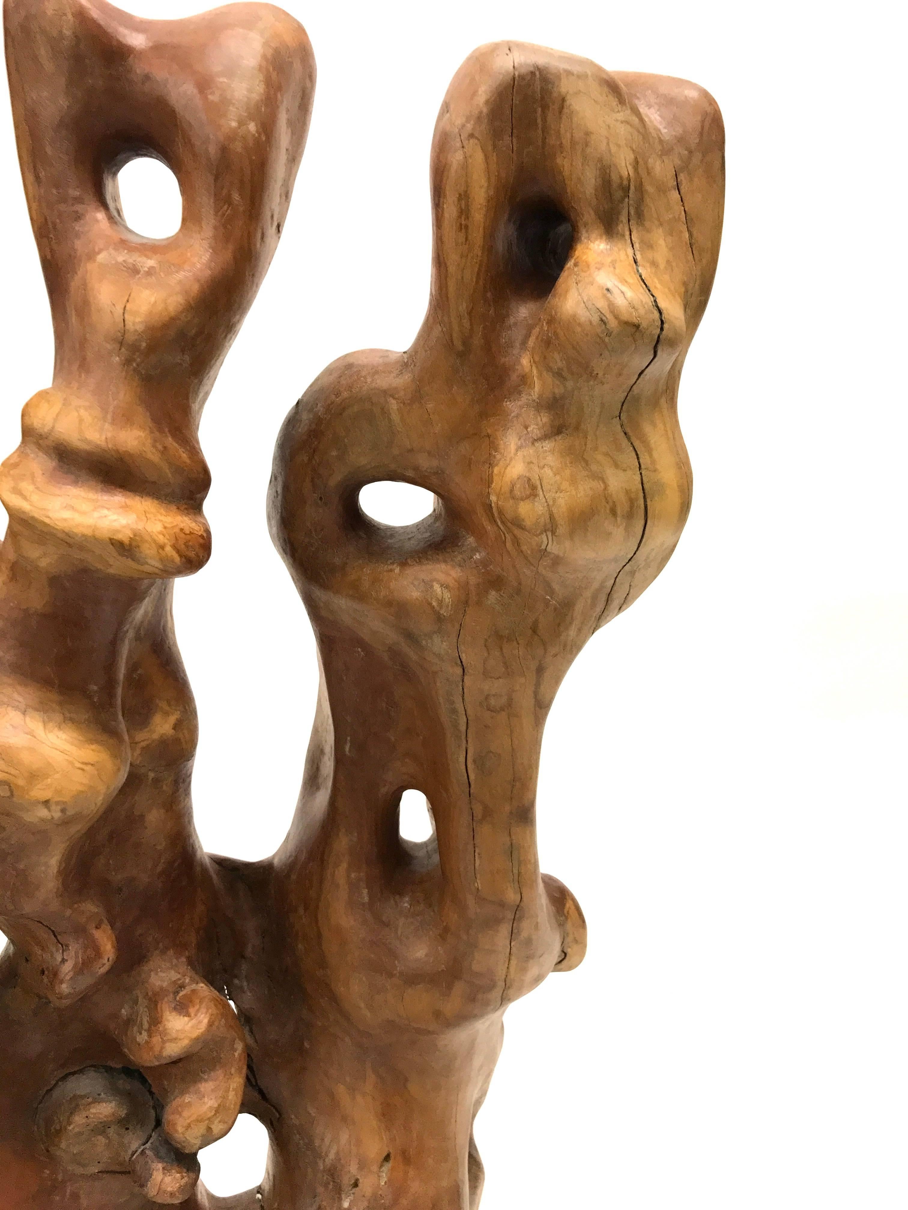 Abstract Root Wood Sculpture For Sale 1