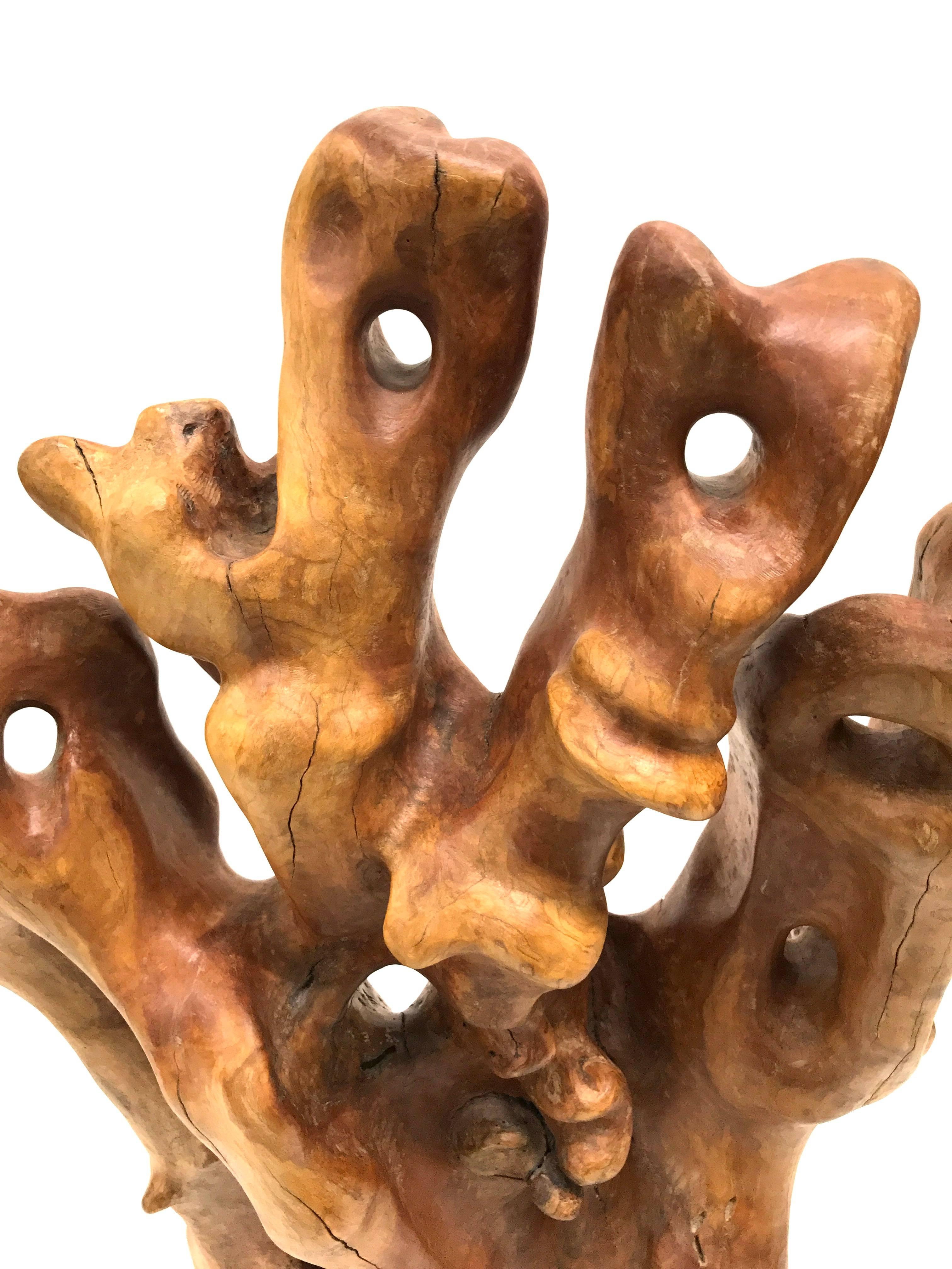 20th Century Abstract Root Wood Sculpture For Sale