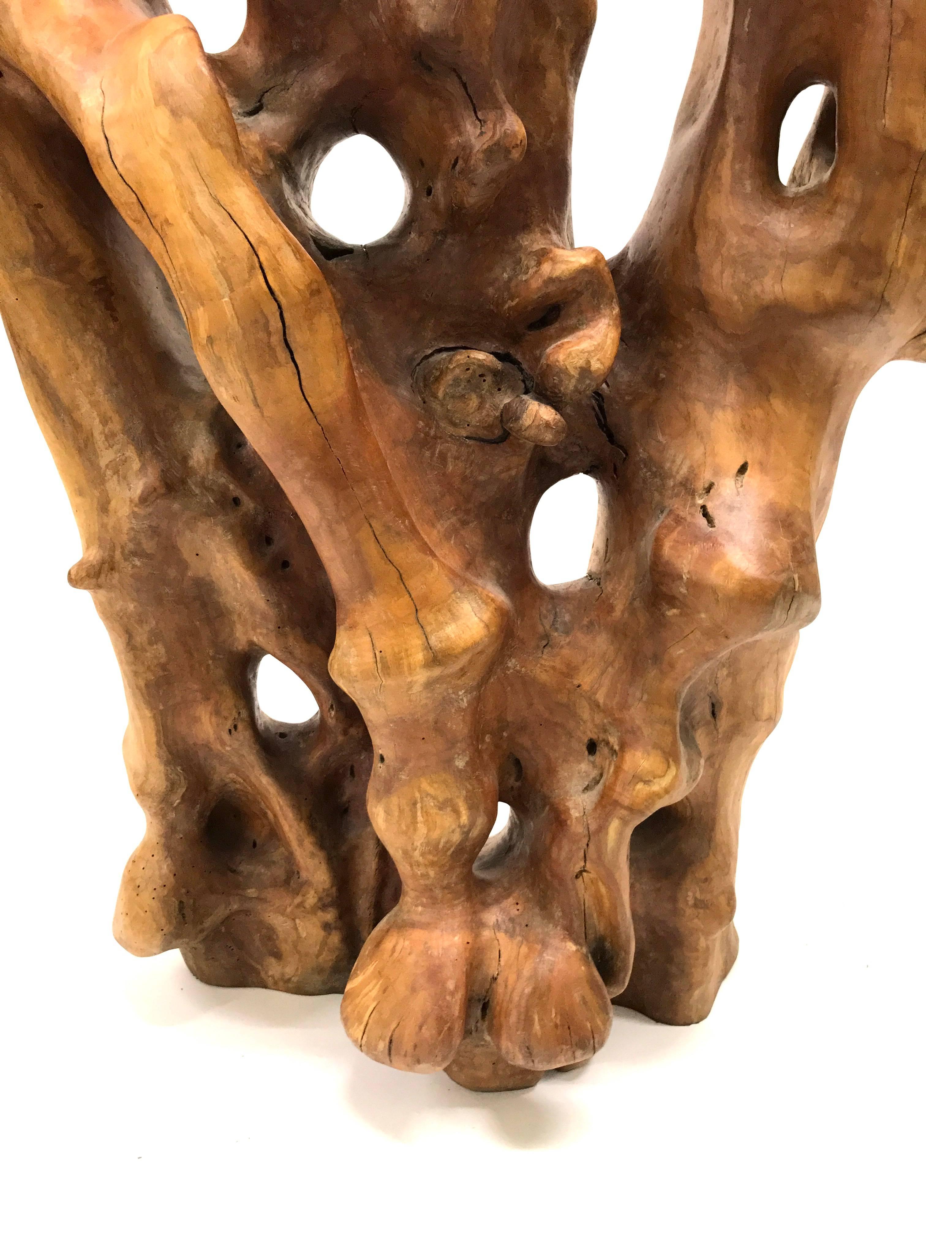 Abstract Root Wood Sculpture For Sale 2