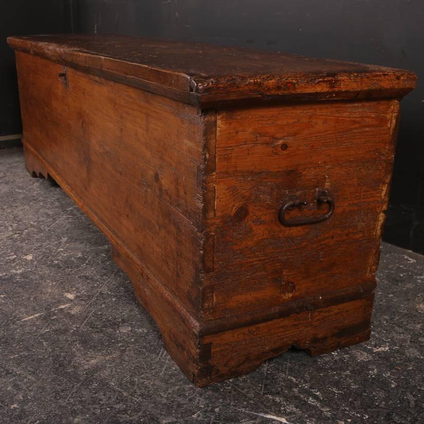 Large 19th Century Pine Coffer In Excellent Condition In Leamington Spa, Warwickshire