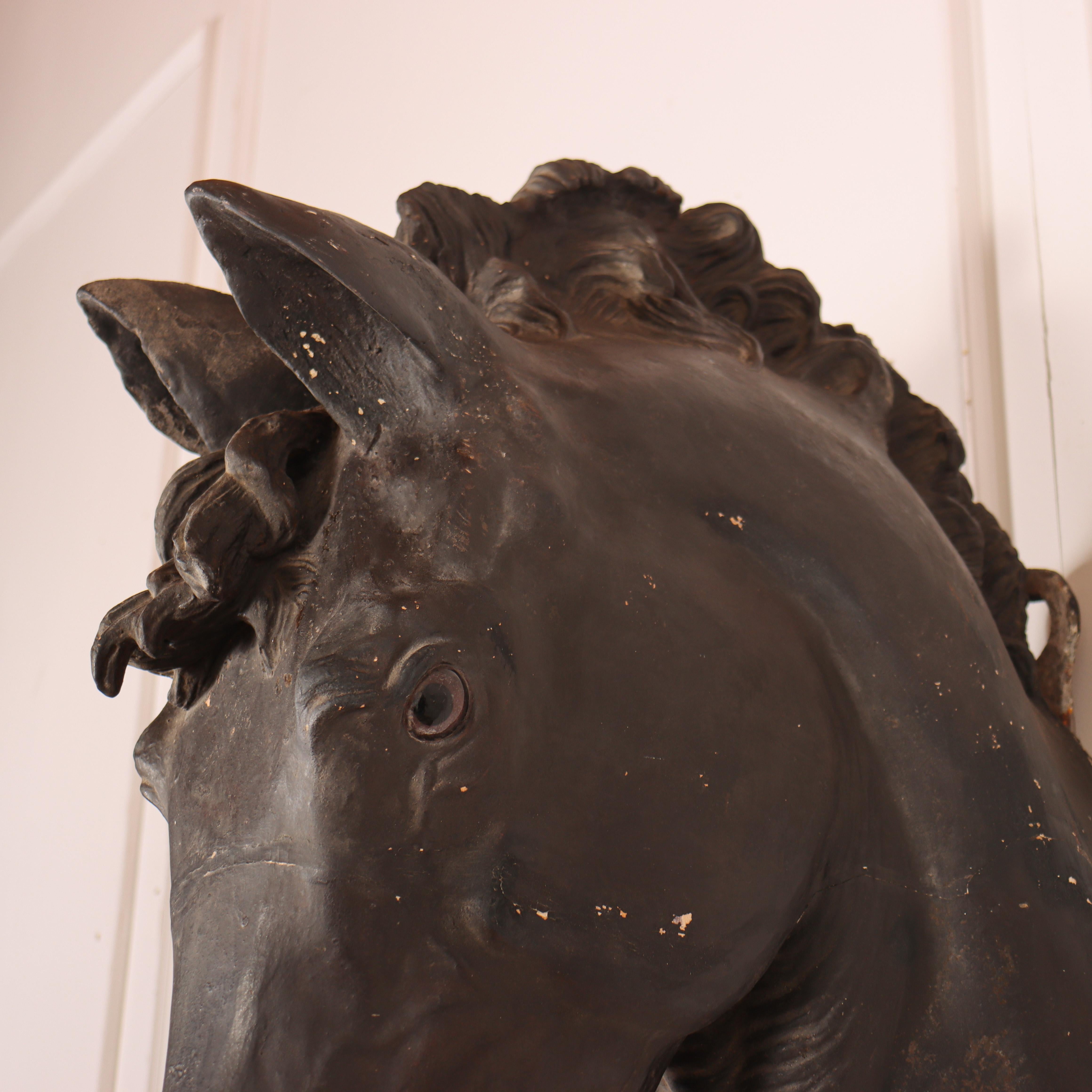 Testa di cavallo spagnola del XIX secolo in vendita 5