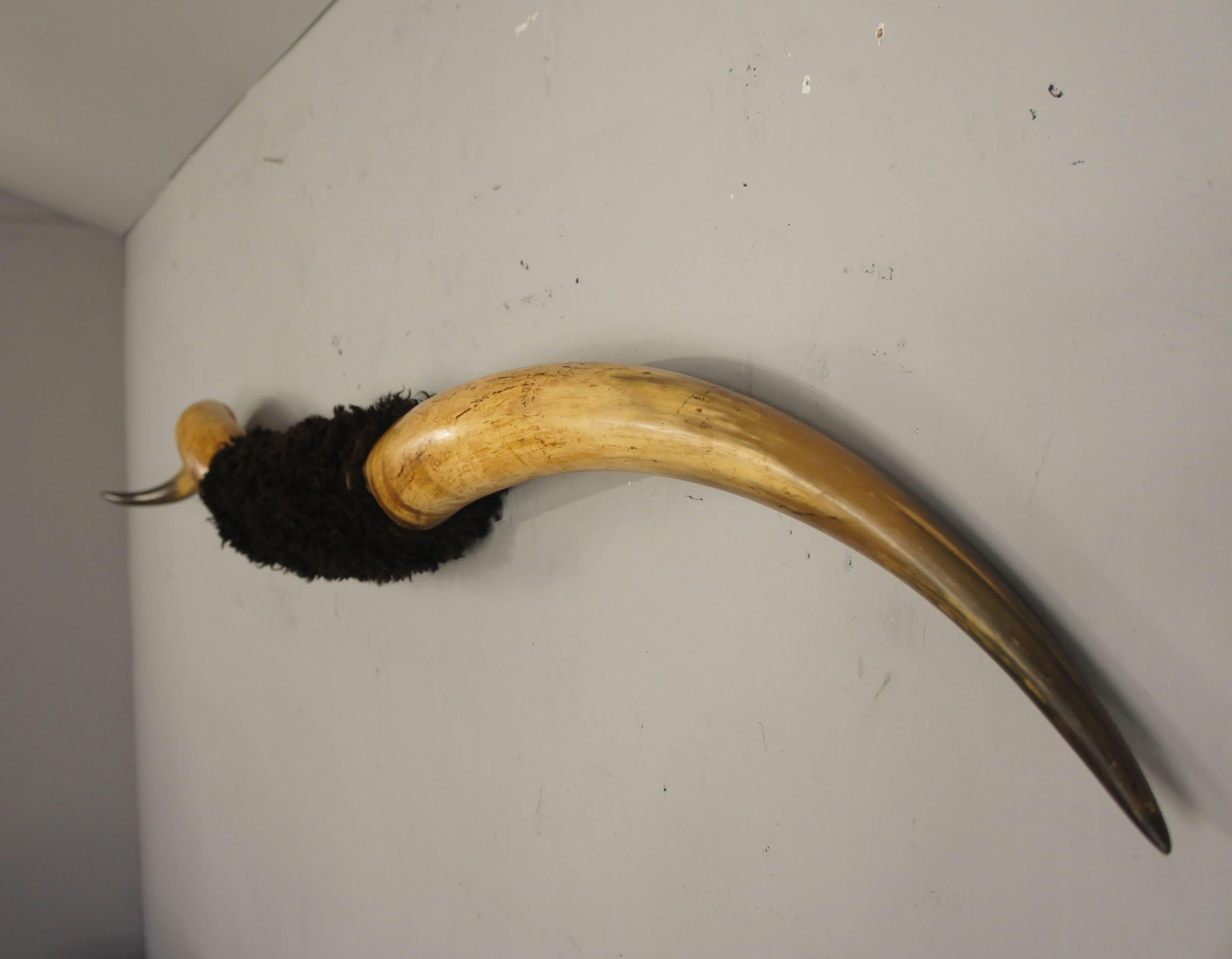 Mounted Longhorn Steer Horns, huge 192 cm span. A great decorative item that is ready to hang by chain.