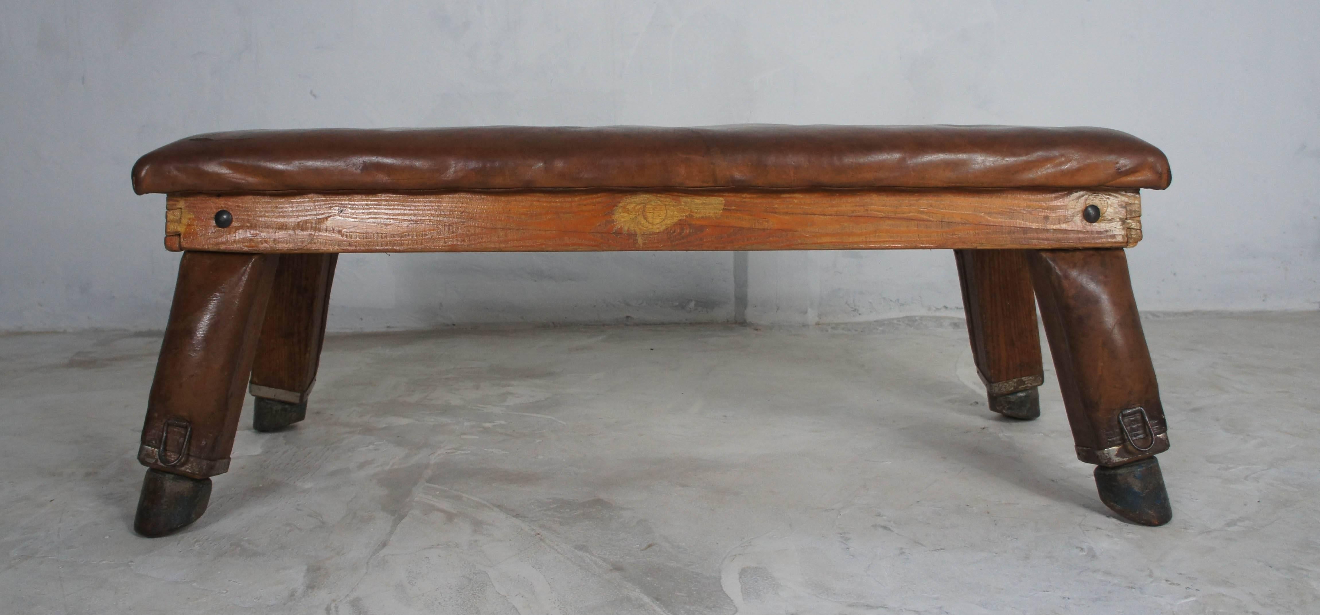 Mid-Century Modern Midcentury Vintage Leather Gym Bench from Germany