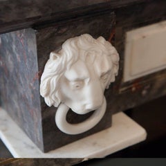 19th Century Empire Marble Fireplace Mantelpiece, Carved Columns and Lion Heads