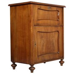 19th Century Biedermeier Buffet Cupboard Austrian Credenza Cabinet Bar 5