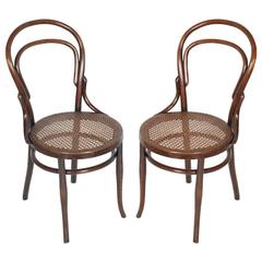 Paire de chaises Thonet classiques en bois de rose du début du 20e siècle n. 14