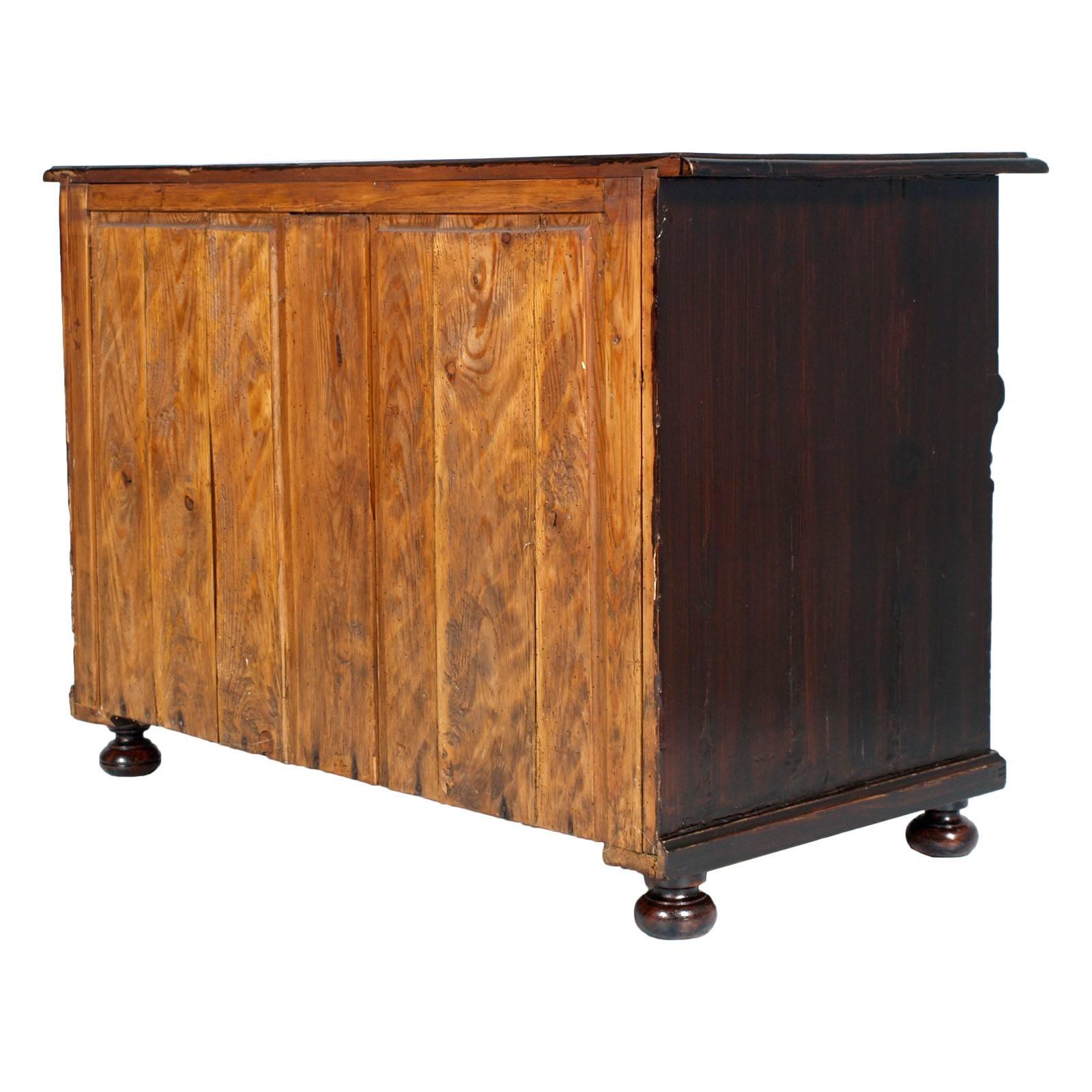 Lacquered 19th Century, Austrian  Biedermeier Chest of Drawers country in solid wood
