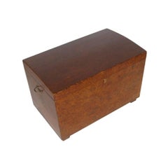 Italy 1850s Antique Traveling Trunk Chest in Solid Wood Polished to Wax