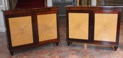 Pair of Regency Rosewood Cabinets