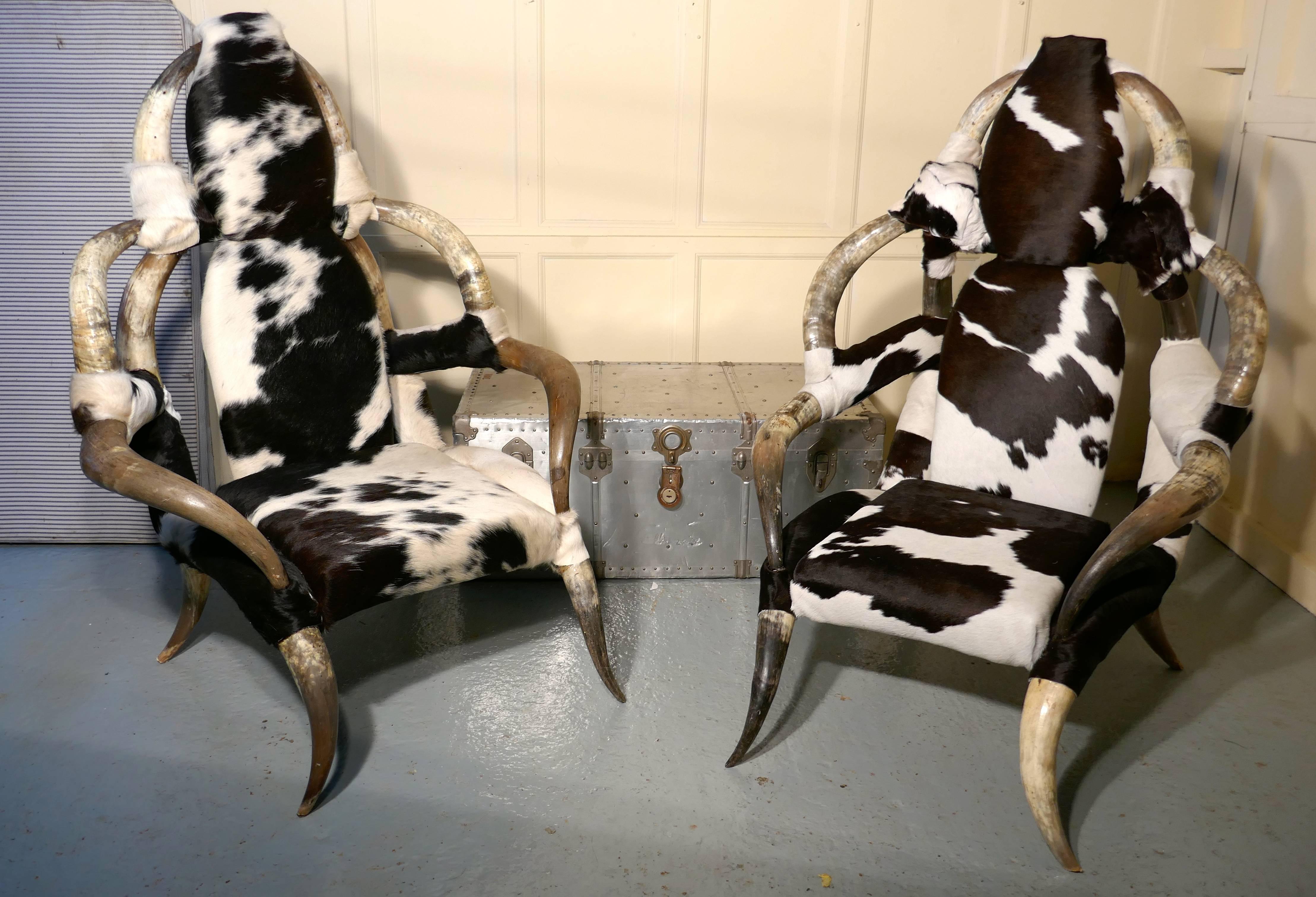 Rustic Fantastic Pair of Large Bull or Cow Horn and Hide Armchairs