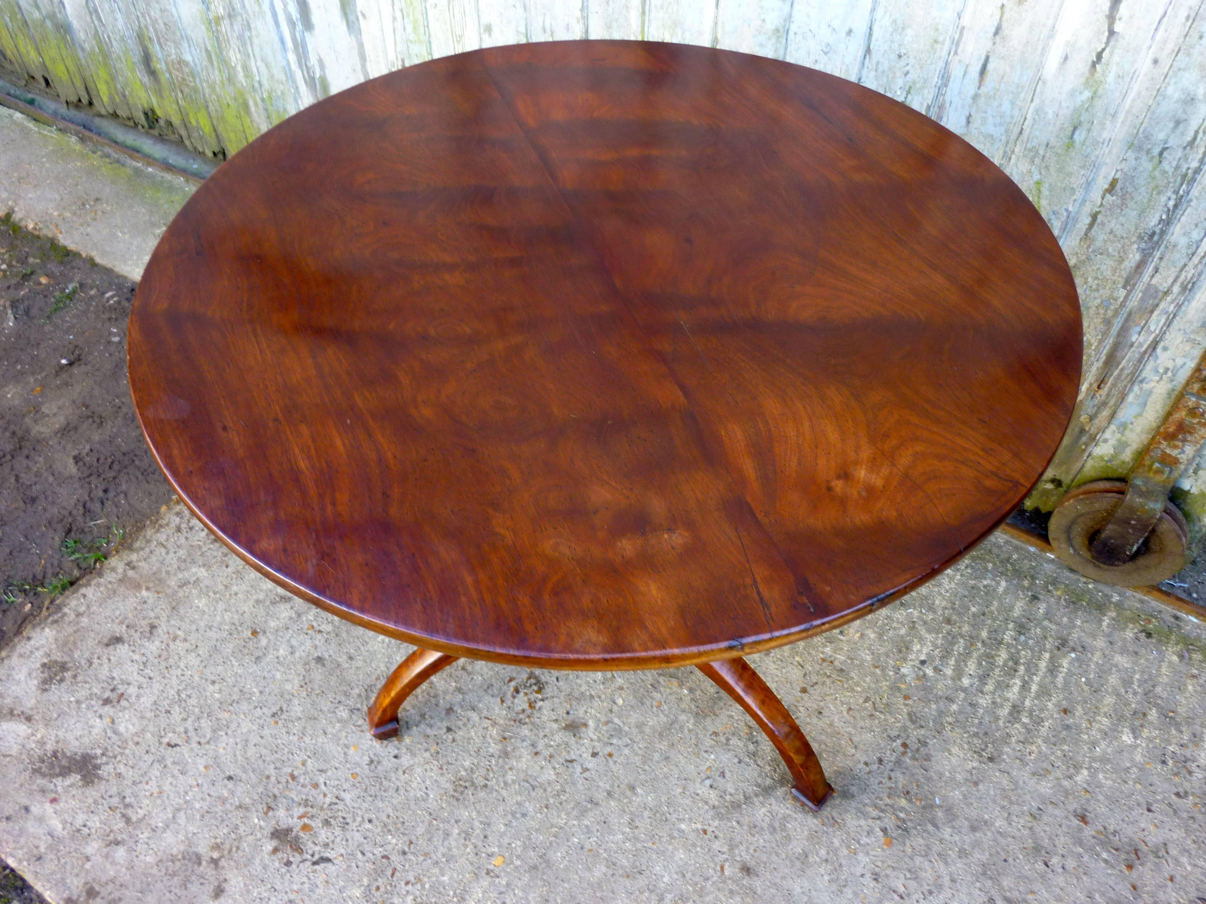 Georgian Yew Wood Tilt-Top Table 2