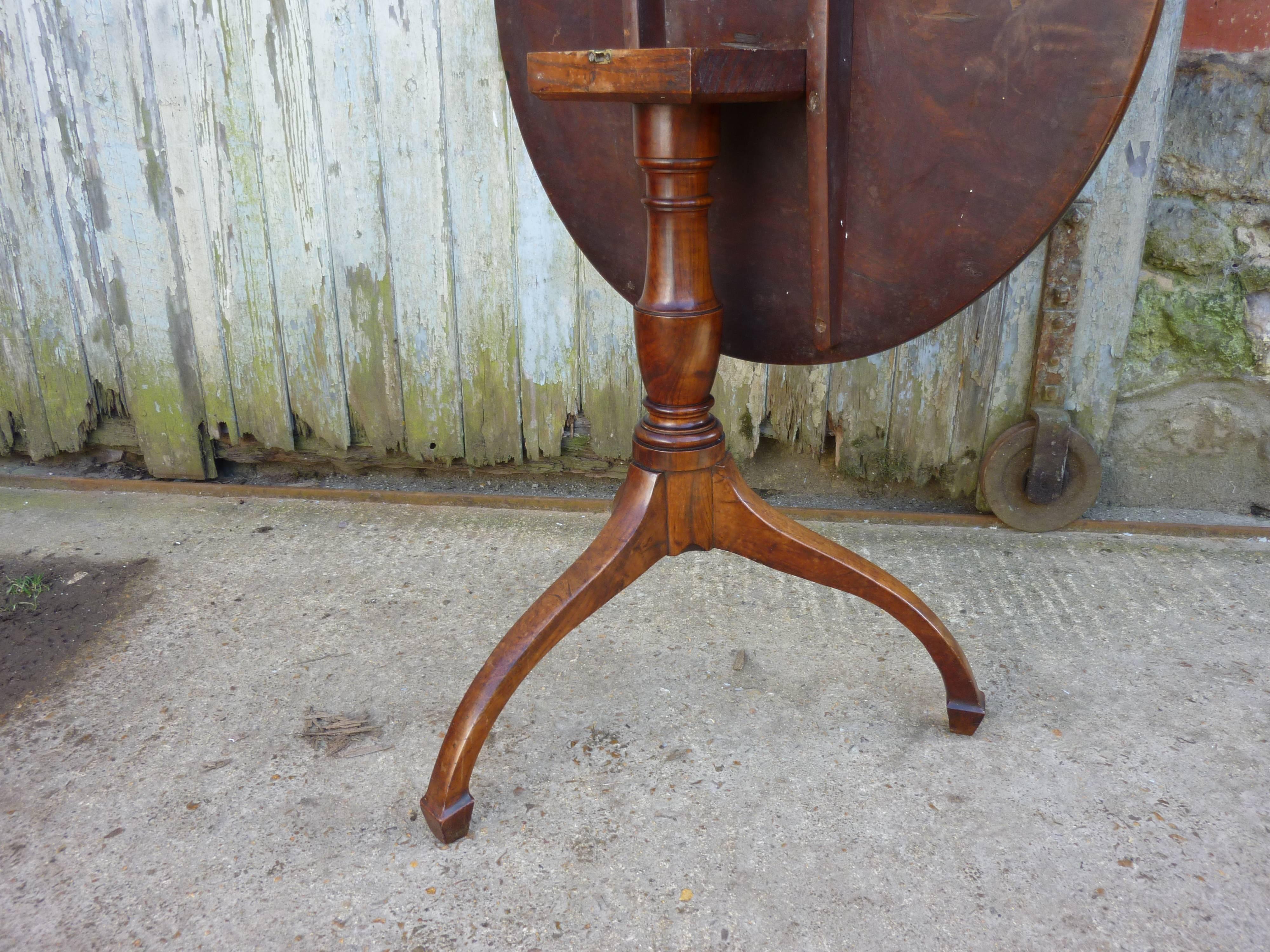 Georgian Yew Wood Tilt-Top Table 3