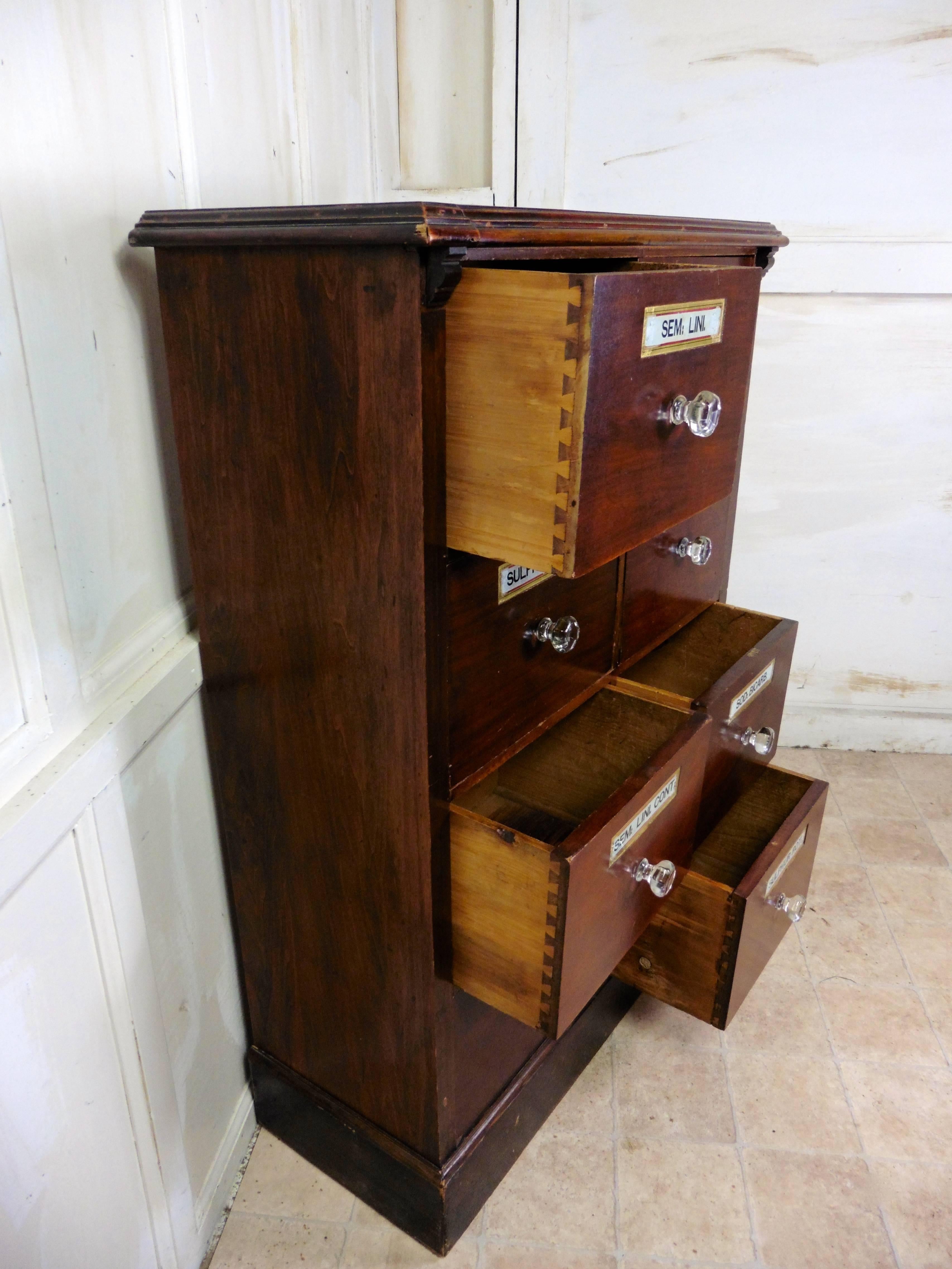 19th Century Chemist Drawers, Eight-Drawer Mahogany Pharmacists Cabinet In Good Condition In Chillerton, Isle of Wight